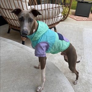 Dog jacket